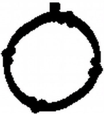 Tarpiklis, išleidimo kolektorius BGA MG6736