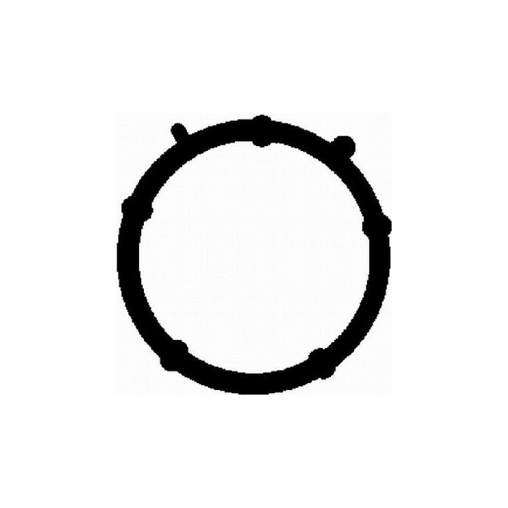 Tarpiklis, įsiurbimo kolektorius BGA MG2531