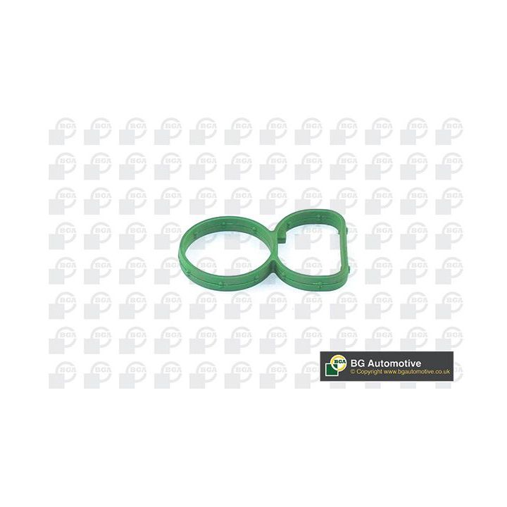 Tarpiklis, įsiurbimo kolektorius BGA MG4788