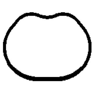 Tarpiklis, įsiurbimo kolektorius BGA MG8528