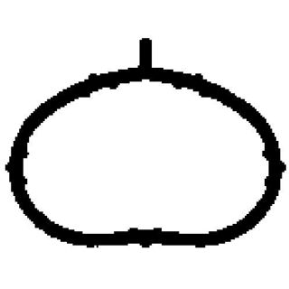 Tarpiklis, įsiurbimo kolektorius BGA MG8582