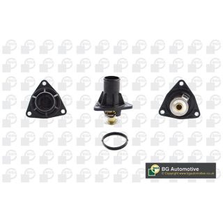 Termostatas, aušinimo skystis BGA CT3300