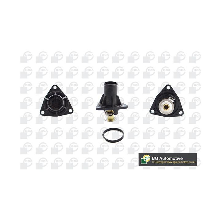 Termostatas, aušinimo skystis BGA CT3300