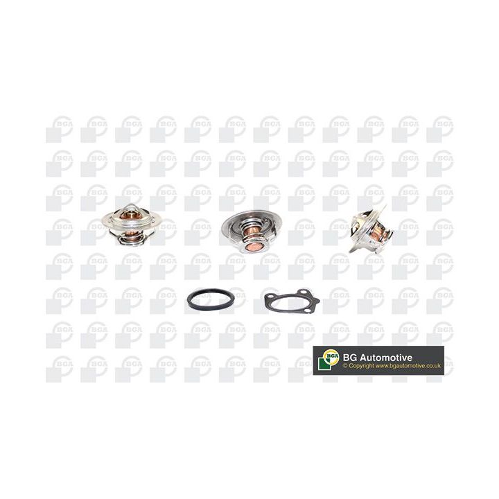 Termostatas, aušinimo skystis BGA CT5349K