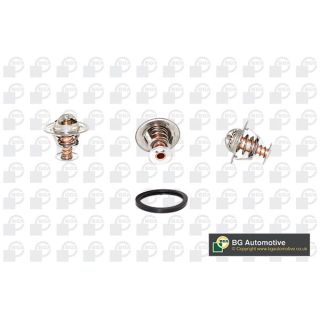 Termostatas, aušinimo skystis BGA CT5396K