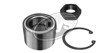 Rato guolio komplektas DYS 40-CI-9787