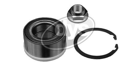 Rato guolio komplektas DYS 40-FD-9841