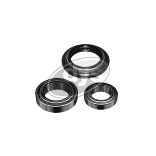 Rato guolio komplektas DYS 40-FD-9847