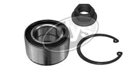 Rato guolio komplektas DYS 40-FD-9953