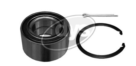 Rato guolio komplektas DYS 40-HY-9931