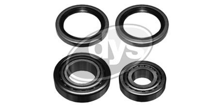 Rato guolio komplektas DYS 40-KI-9877