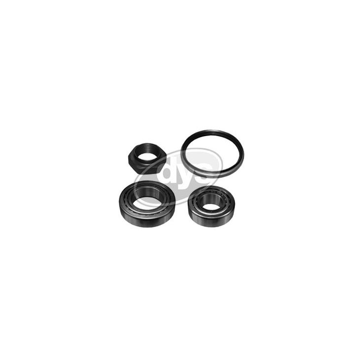 Rato guolio komplektas DYS 40-OP-9881