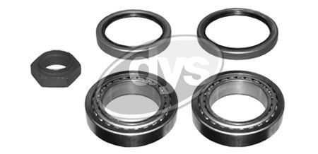 Rato guolio komplektas DYS 40-PE-9823