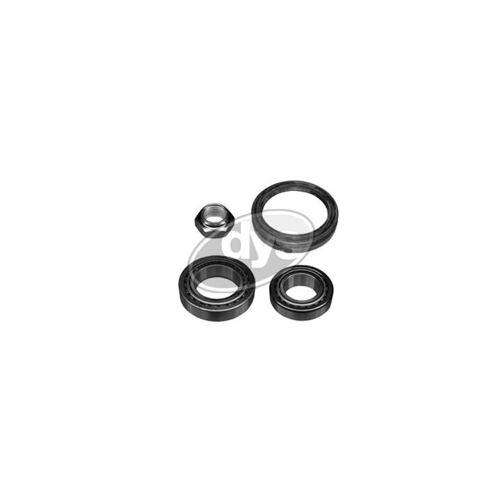 Rato guolio komplektas DYS 40-PE-9883