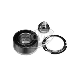 Rato guolio komplektas DYS 40-RE-9807