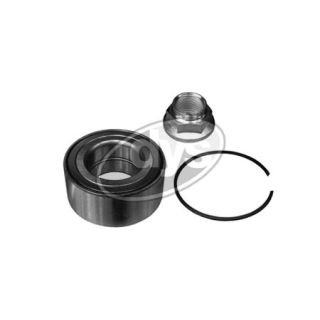 Rato guolio komplektas DYS 40-RO-9808