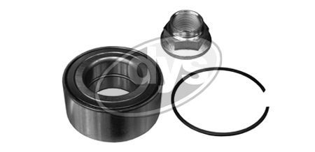 Rato guolio komplektas DYS 40-RO-9808