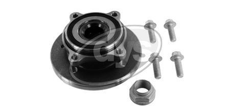 Rato guolio komplektas DYS 41-BM-9733