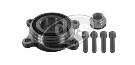 Rato guolio komplektas DYS 41-LN-9752