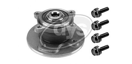 Rato guolio komplektas DYS 41-MN-9611