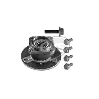 Rato guolio komplektas DYS 41-SM-9661