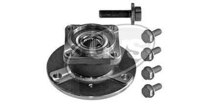 Rato guolio komplektas DYS 41-SM-9661