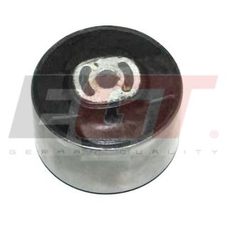 Variklio montavimas EGT 601019EGT