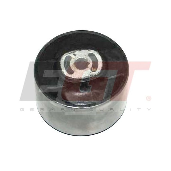 Variklio montavimas EGT 601019EGT