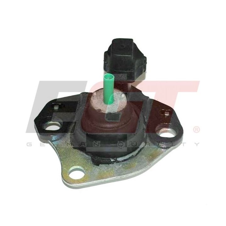 Variklio montavimas EGT 601141EGT