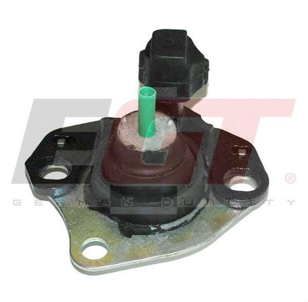 Variklio montavimas EGT 601141EGT