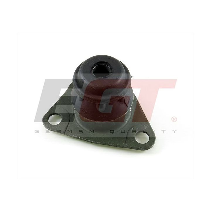 Variklio montavimas EGT 601149EGT