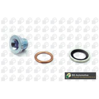 Alyvos išleidimo kaištis, alyvos karteris BGA PK1401