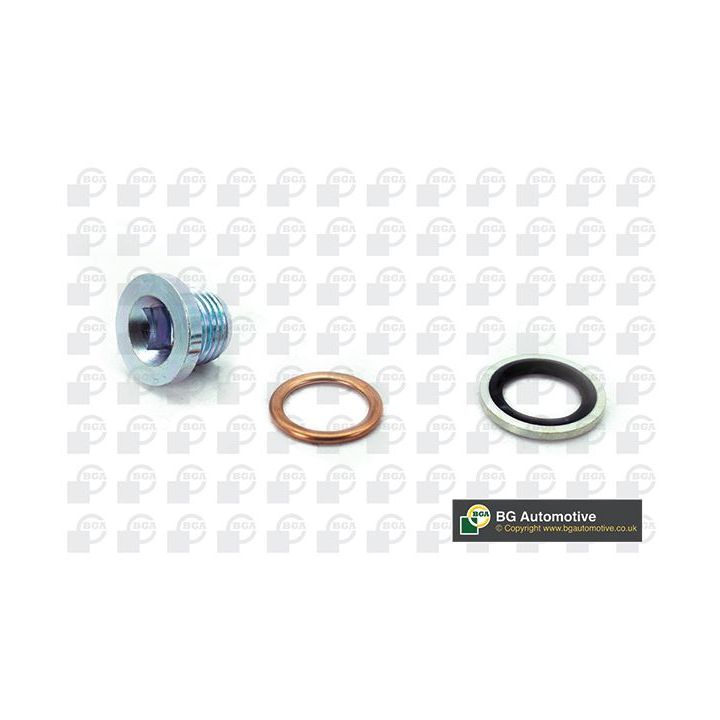 Alyvos išleidimo kaištis, alyvos karteris BGA PK1401