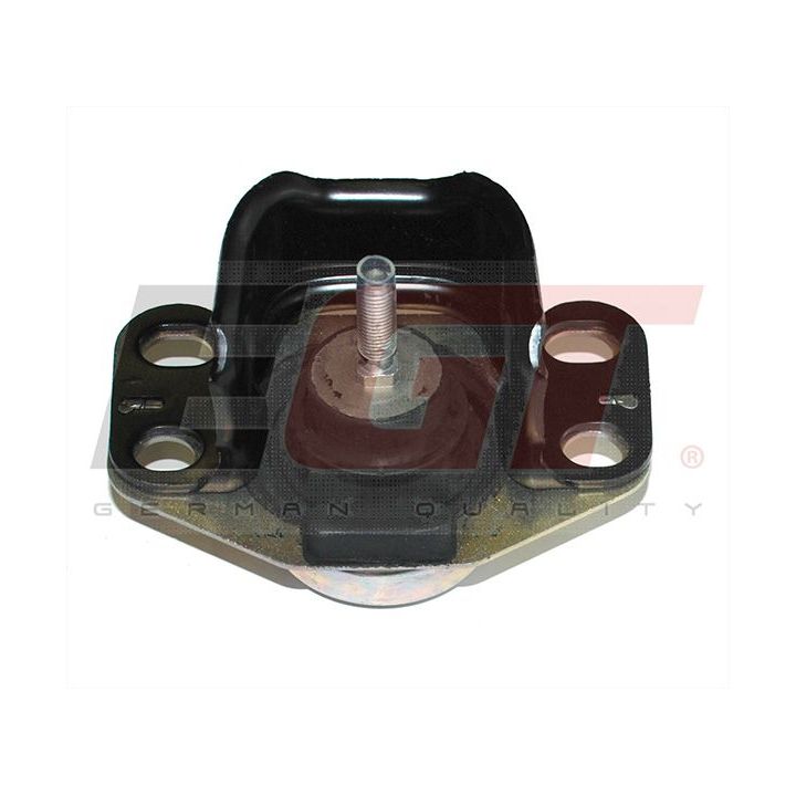 Variklio montavimas EGT 601165EGT