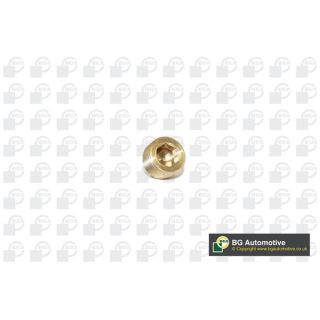 Alyvos išleidimo kaištis, alyvos karteris BGA PK2202