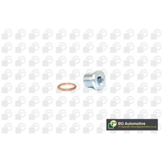 Alyvos išleidimo kaištis, alyvos karteris BGA PK2300