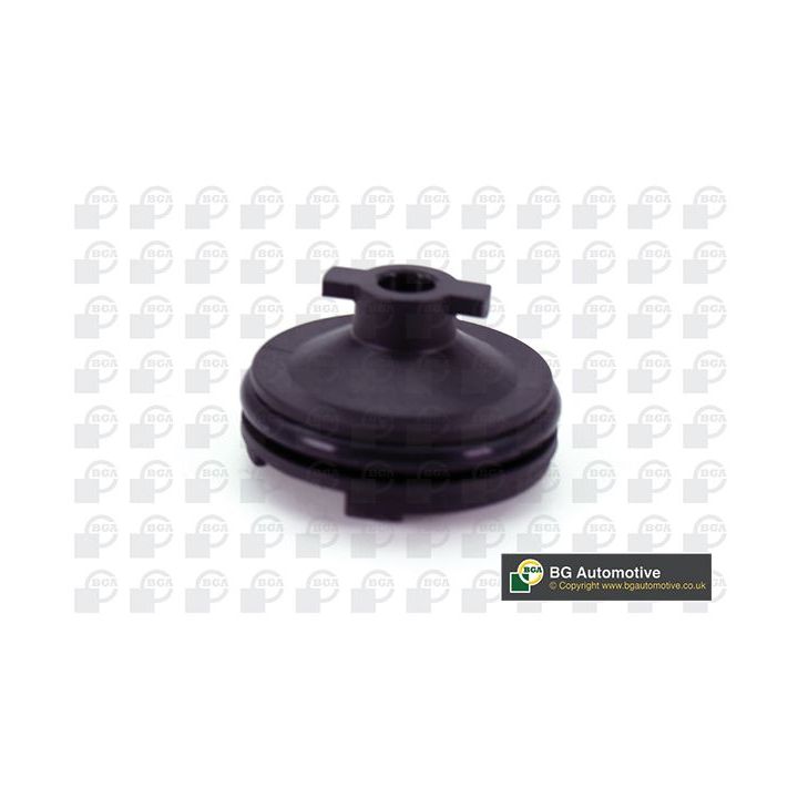 Alyvos išleidimo kaištis, alyvos karteris BGA PK2307