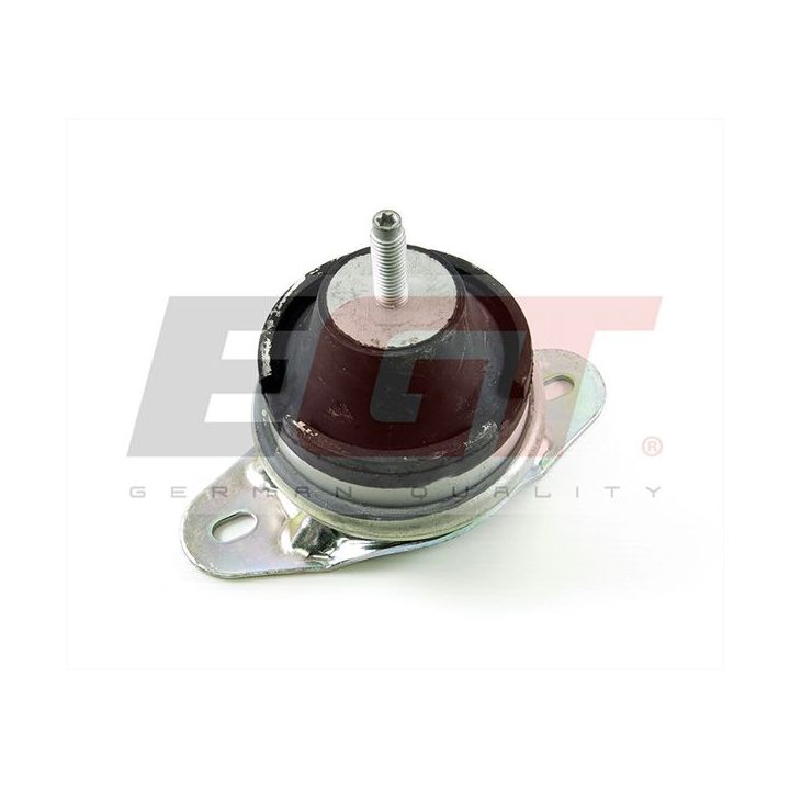 Variklio montavimas EGT 601204EGT