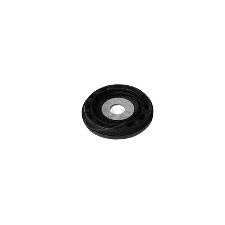 Pakabos statramsčio atraminis guolis DYS 73-24673