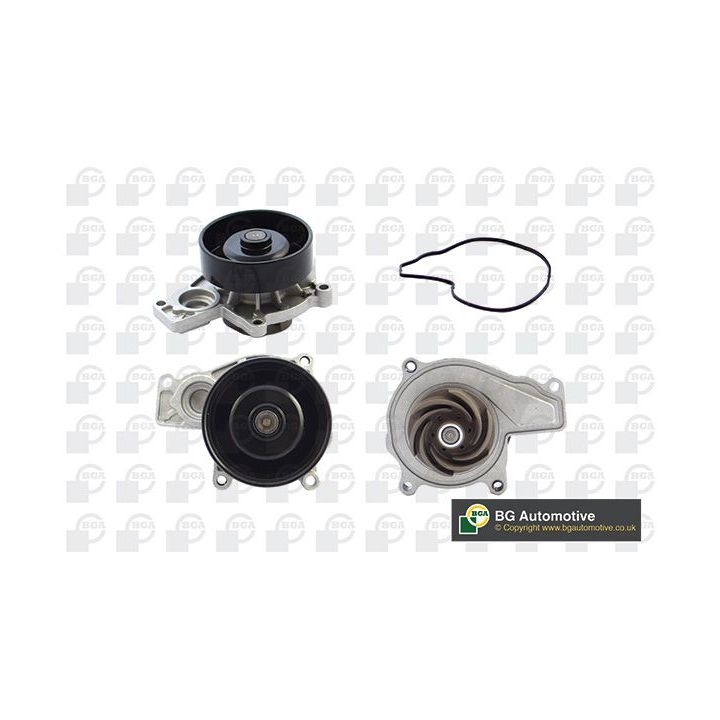 Vandens siurblys, variklio aušinimas BGA CP0903