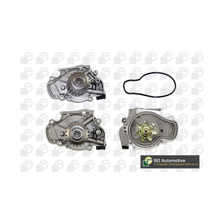 Vandens siurblys, variklio aušinimas BGA CP18418