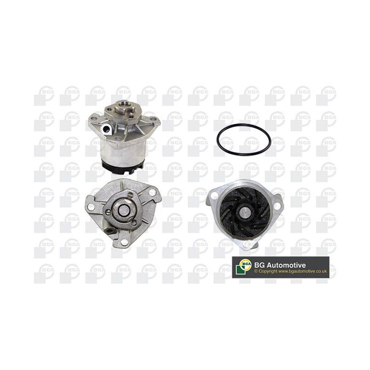 Vandens siurblys, variklio aušinimas BGA CP18524