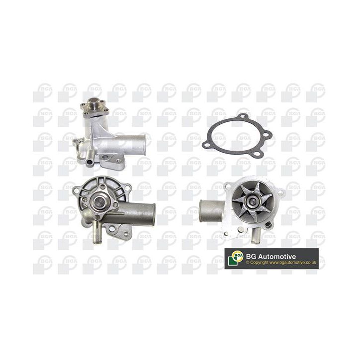 Vandens siurblys, variklio aušinimas BGA CP2456