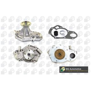 Vandens siurblys, variklio aušinimas BGA CP2482