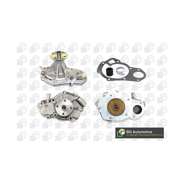 Vandens siurblys, variklio aušinimas BGA CP2482