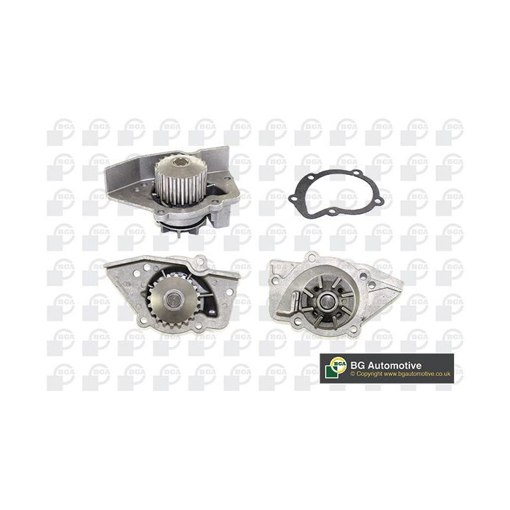 Vandens siurblys, variklio aušinimas BGA CP2718