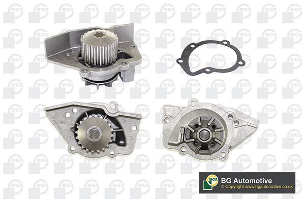 Vandens siurblys, variklio aušinimas BGA CP2718