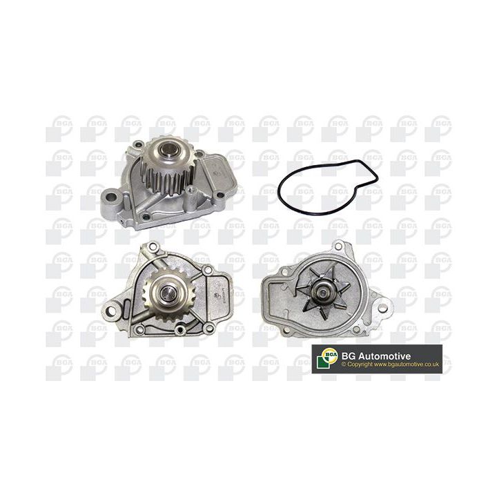 Vandens siurblys, variklio aušinimas BGA CP2736