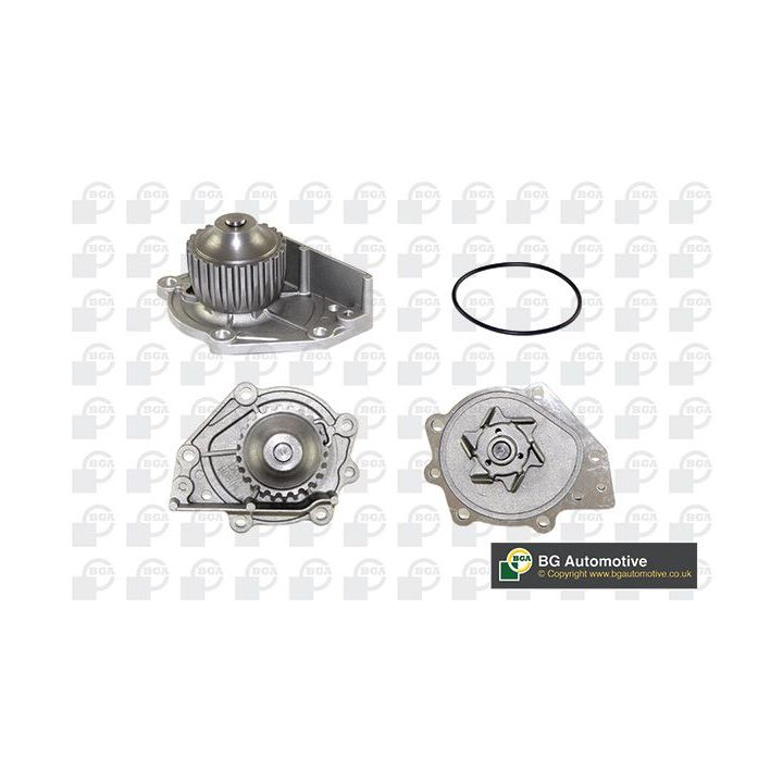 Vandens siurblys, variklio aušinimas BGA CP2796