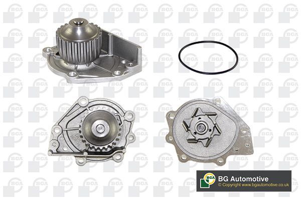 Vandens siurblys, variklio aušinimas BGA CP2796